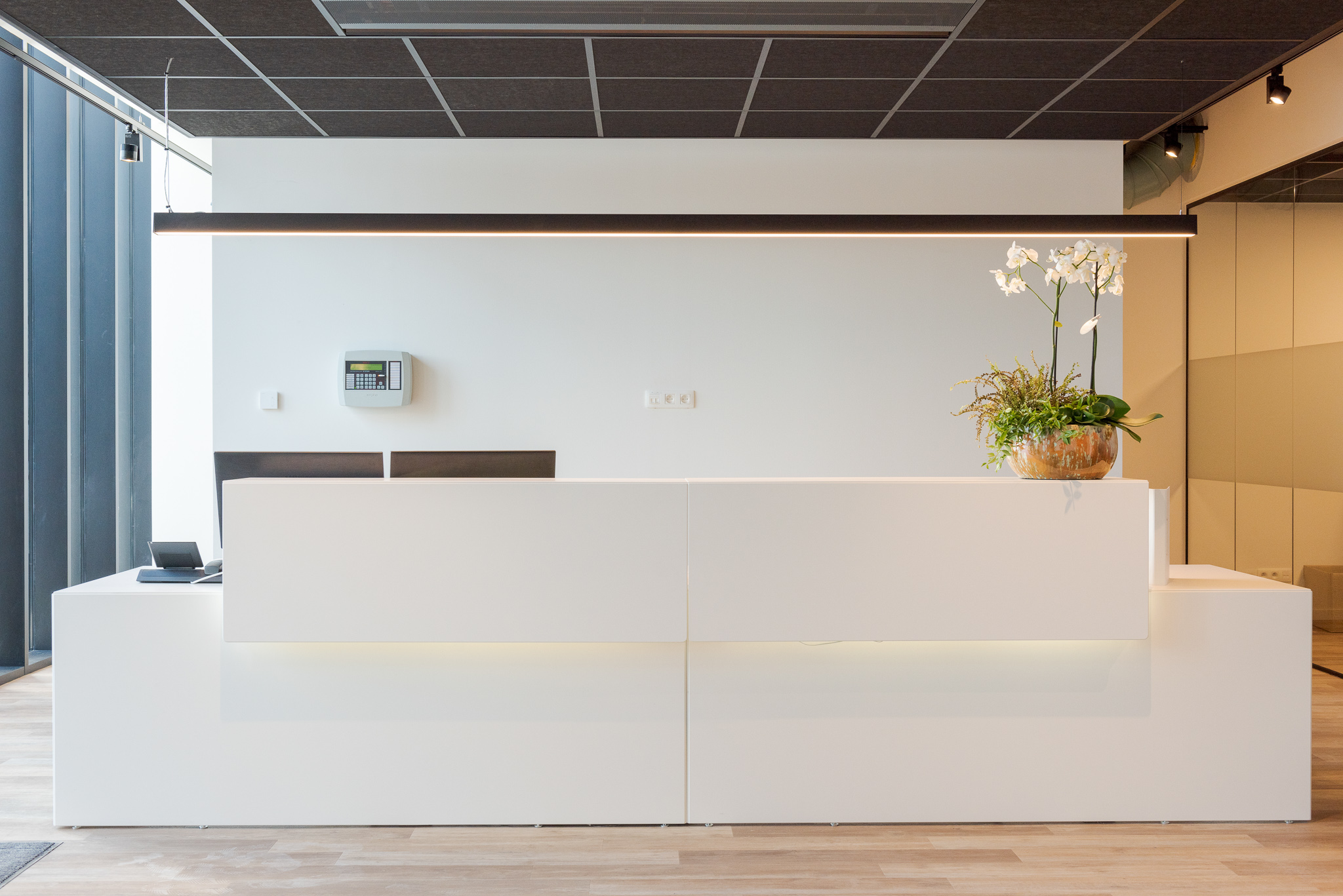 Odoo + afbeelding en tekst