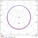 CIRCLE DOWN 300