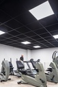 LIGHTPLATE 6060 V2 40W