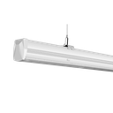 TRUNK 150 50W