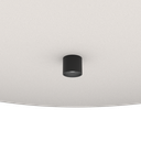 VERSED ON STRAIGHT MUTO