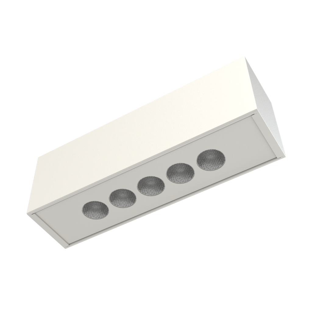 OCULI