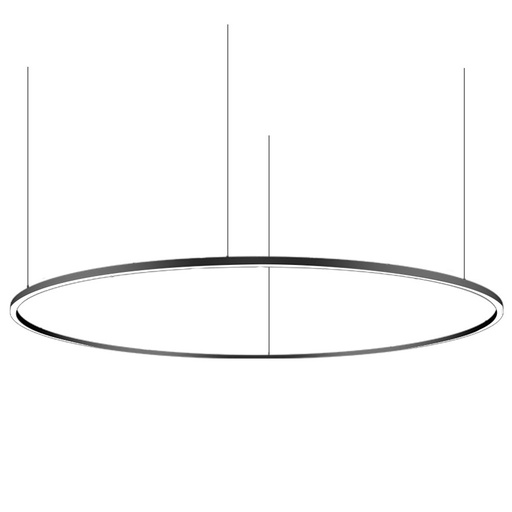 CIRCLE DOWN 80