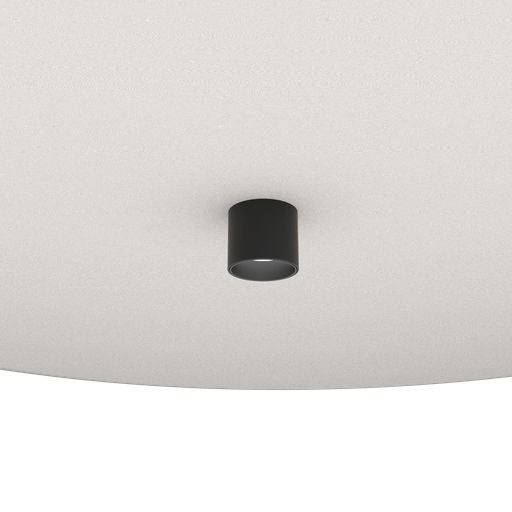 VERSED ON STRAIGHT MUTO